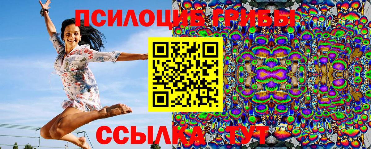 магазин  наркотиков  Александров  Галлюциногенные грибы мицелий 